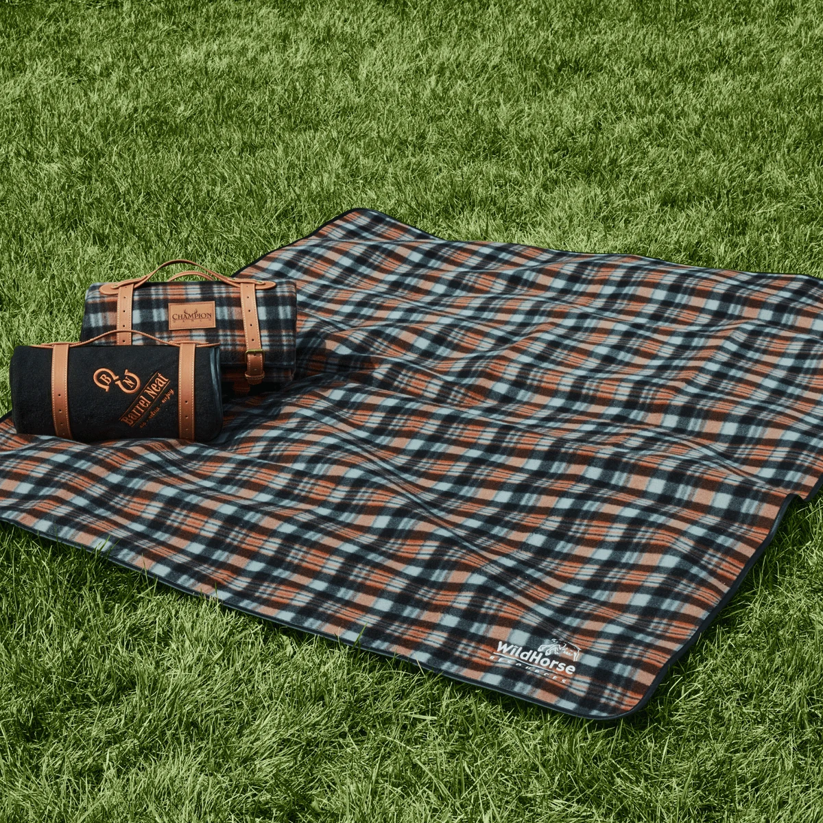 Alpine Picnic Blanket 1
