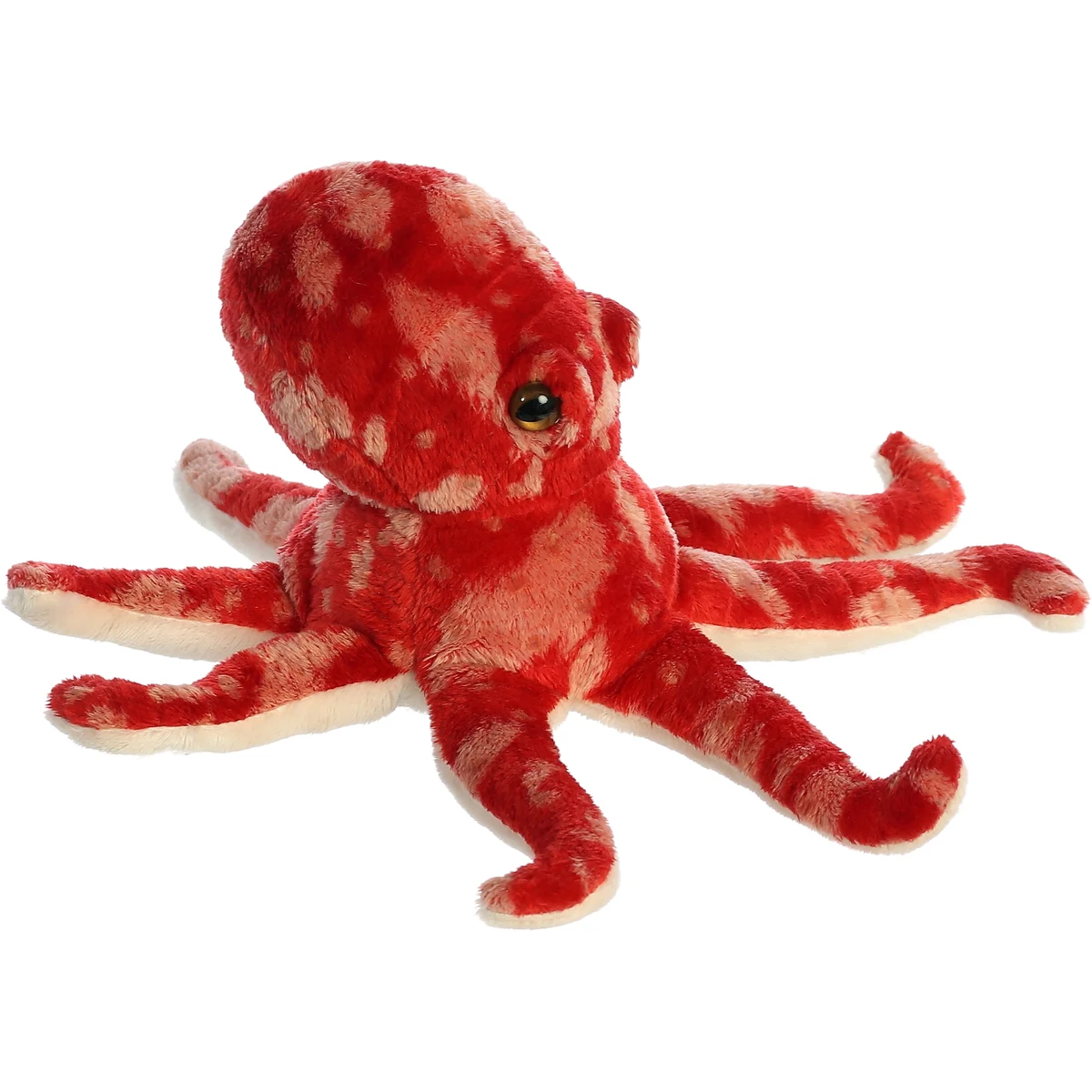 8" Pacy Octopus 1