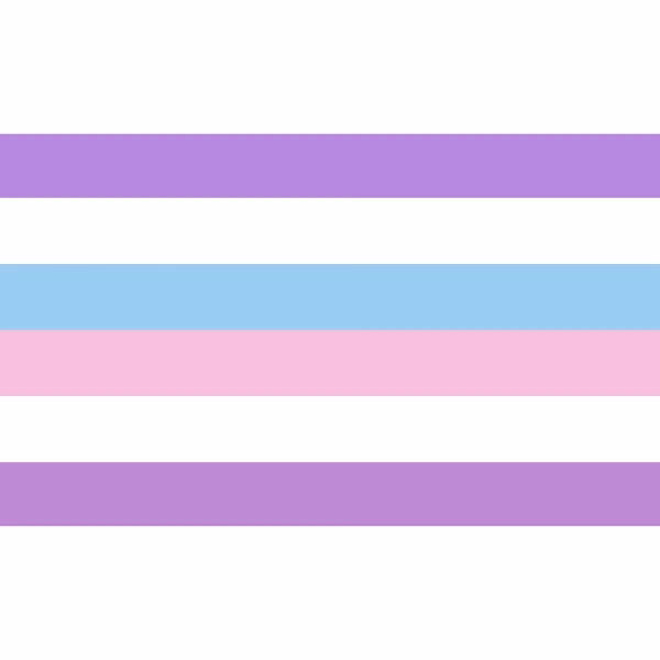 Bigender Flag