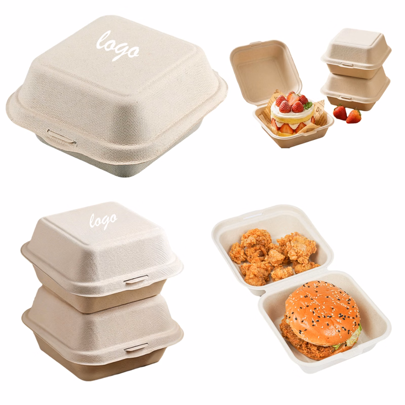 Disposable Cake And Hamburger Bento Boxes