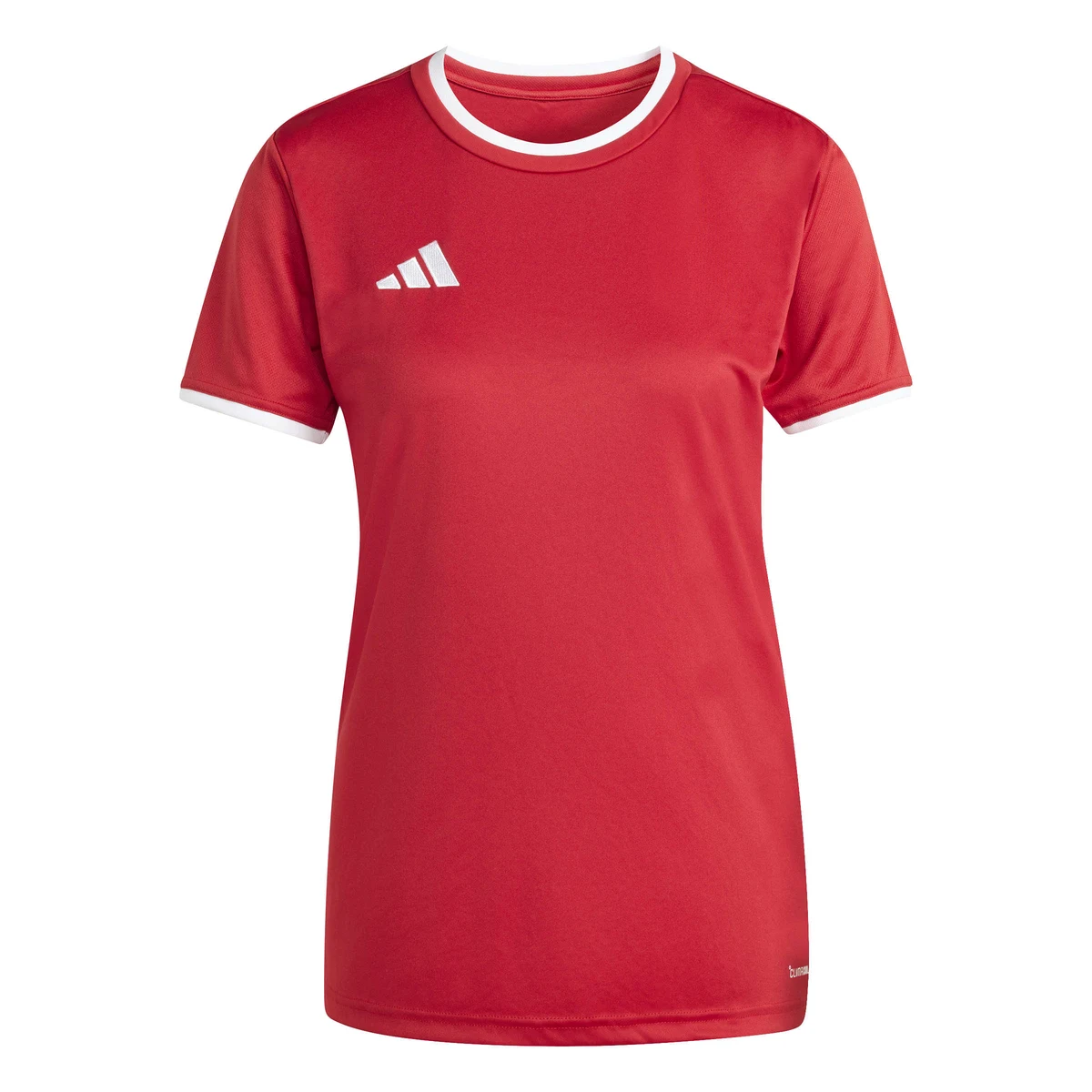 Entrada26 Jersey 1
