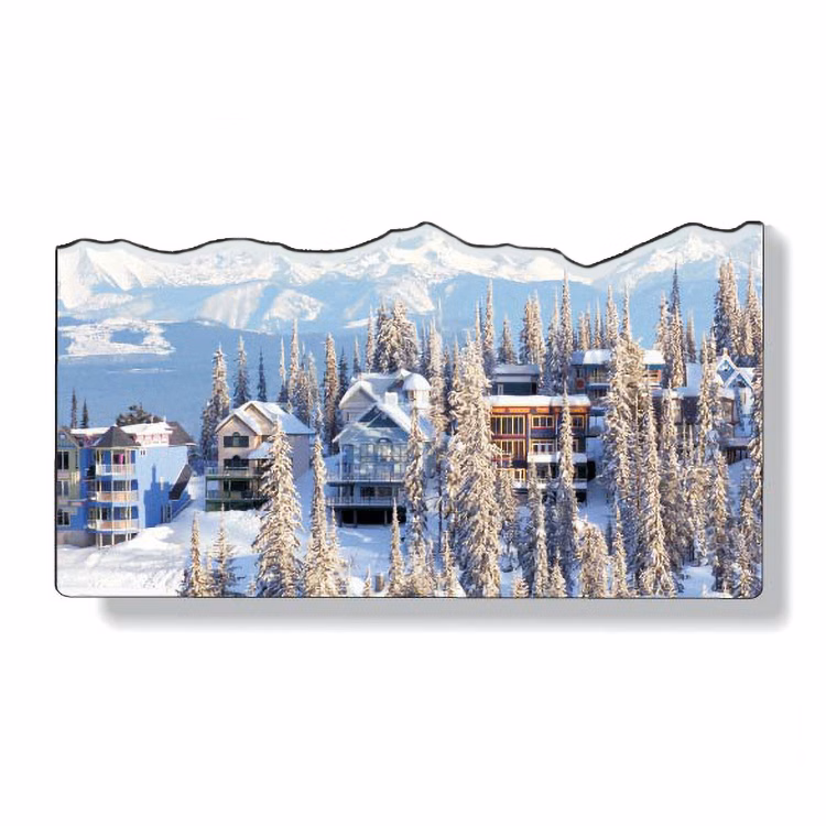 Custom .035 Magnet 12 to 14 sq/in High Res Full Colour, White Vinyl Topcoat