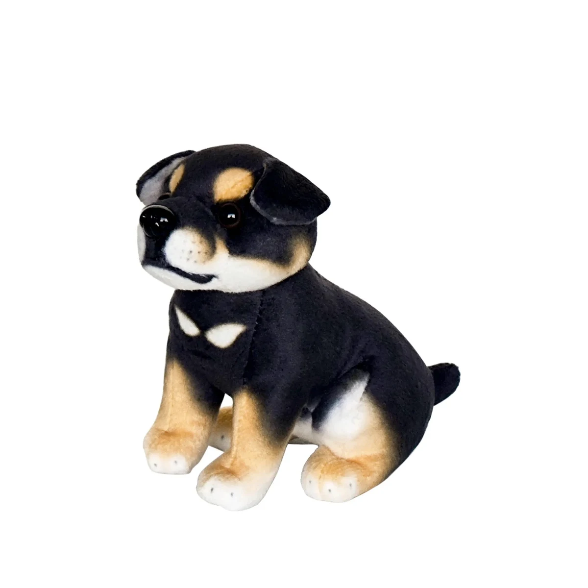 Rottweiler 1