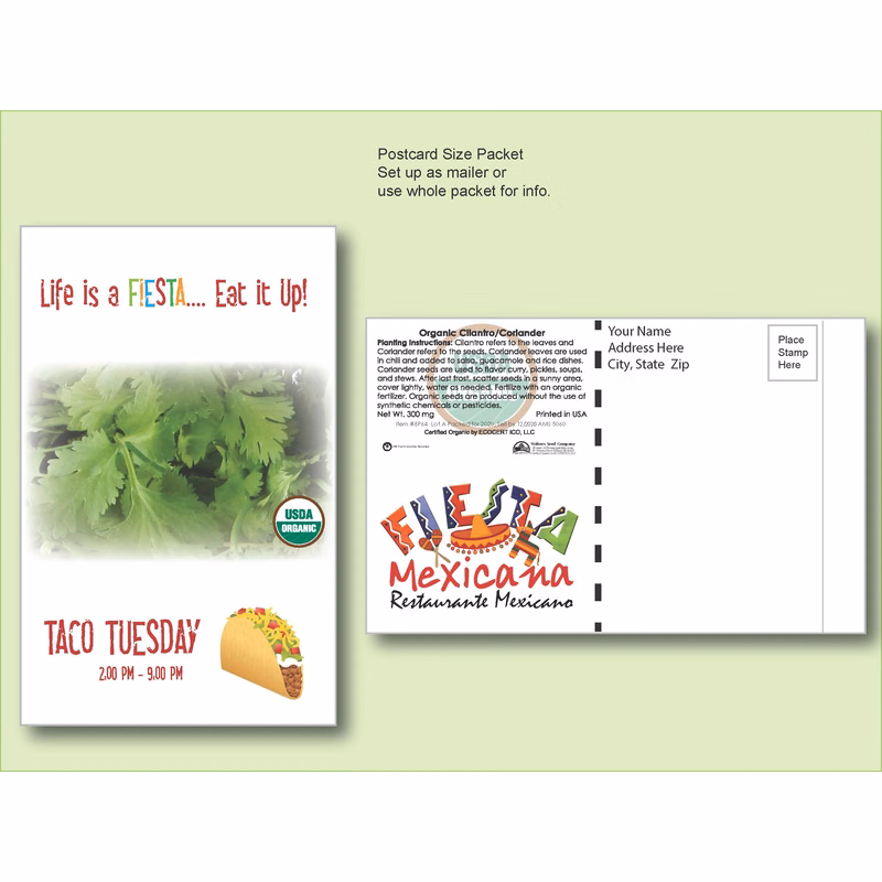 Organic Cilantro/Coriander Herb Seed Packet - Postcard Mailer Size 4" x 6.5"