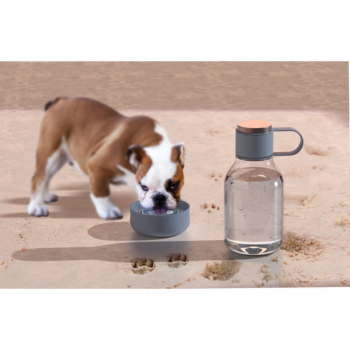50 oz Asobu Dog Bowl Bottle Lite 1