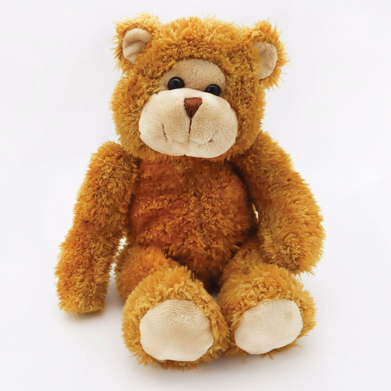 SV Theodore Bear