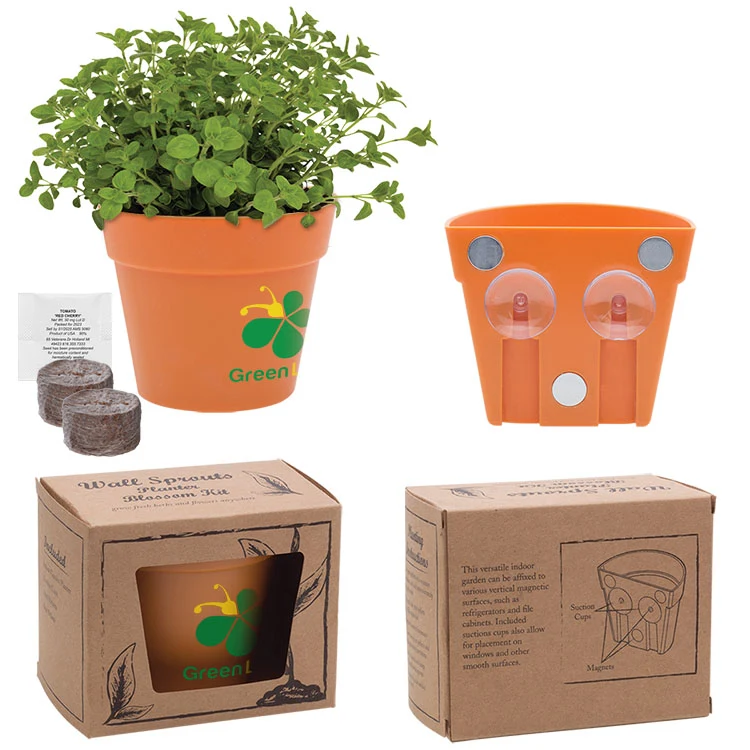 Wall Sprouts Planter Blossom Kit 1