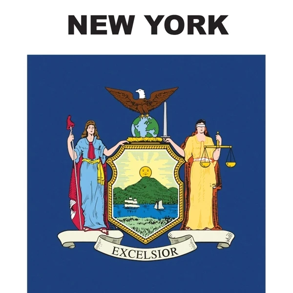 Mini Banner - New York 1