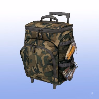 ROLLING COOLER WITH REMOVABLE LINER