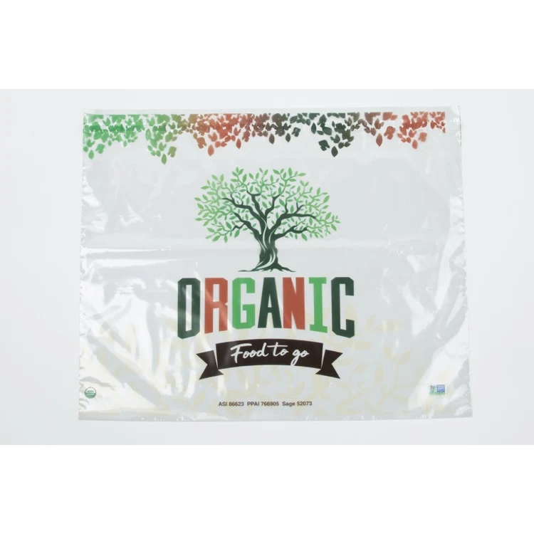 Clear Peel & Seal 1-Sided Plastic Bag (20" x 13.5") 1