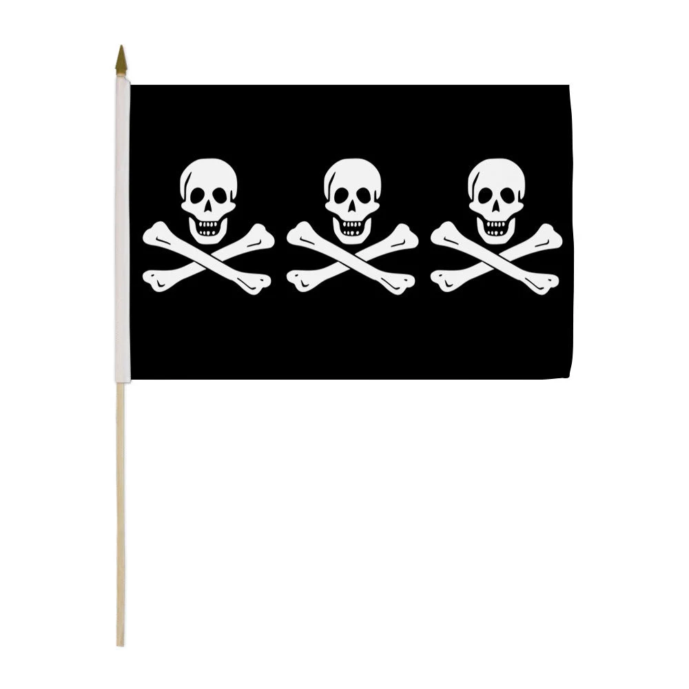 18 in. x 12 in. Custom Hand Held Flag 1