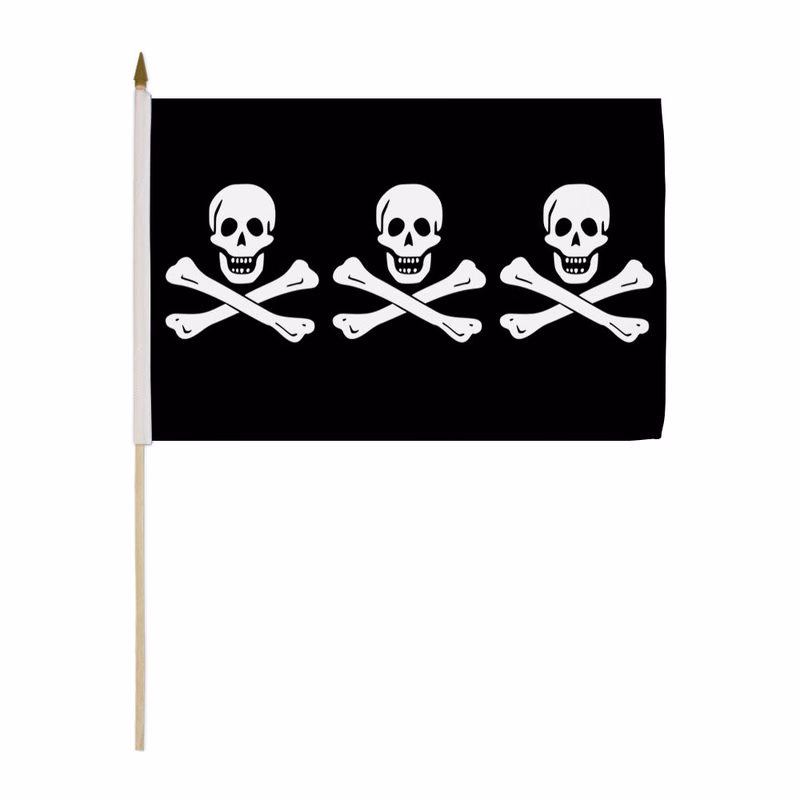 18 in. x 12 in. Custom Hand Held Flag