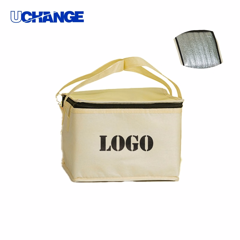 Large Insulated Grocery Shopping Tote Organizer