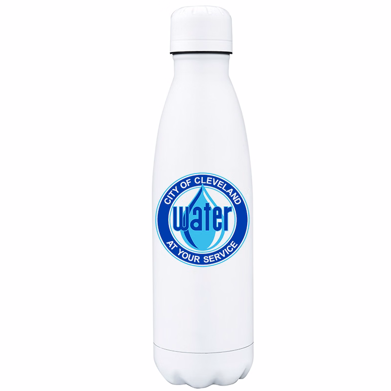Geyser-I 18 Oz. Steel Bottle Tumbler