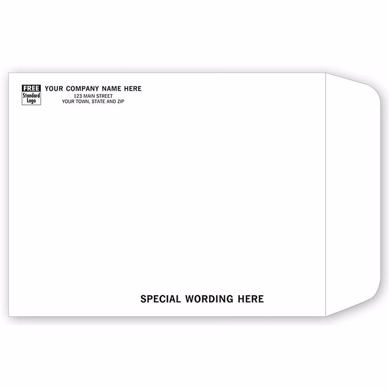 Large White TyvekAA(R) Envelope