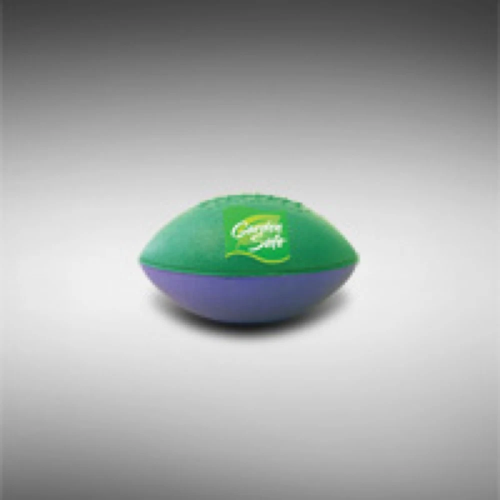 Football 4 EXP-Micro-WT 1