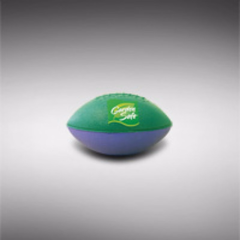 Football 4 EXP-Micro-WT