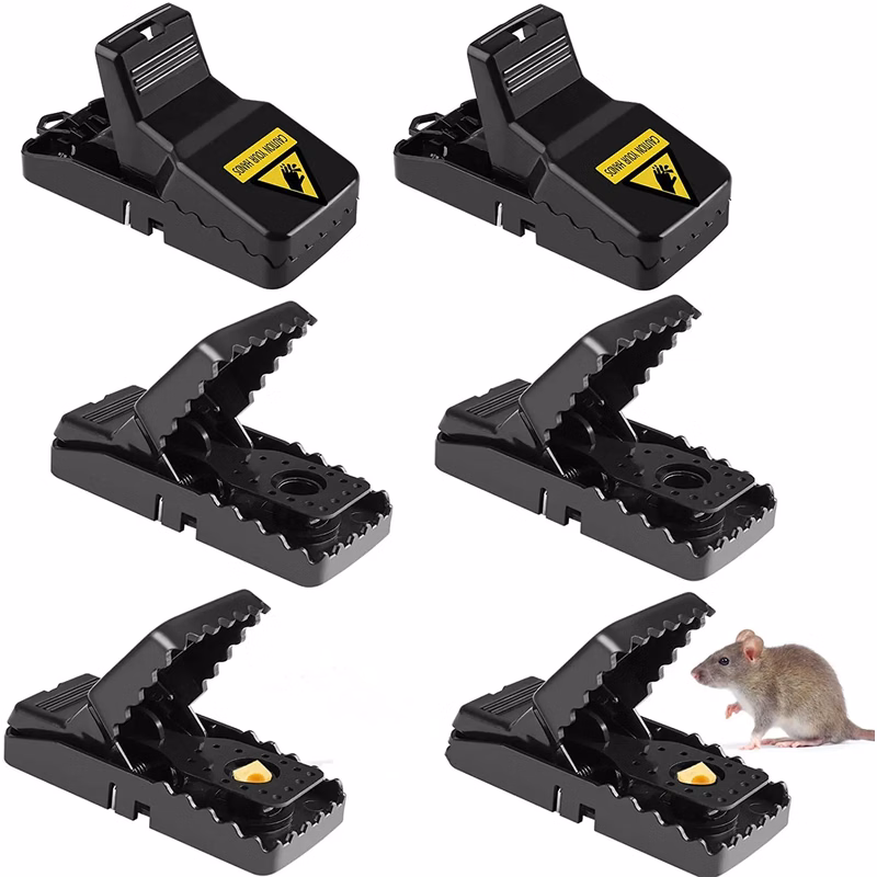 Mouse Traps
