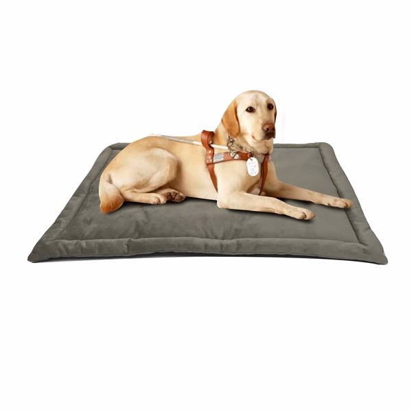 Insulated Self-Warming Pet Bed Mat