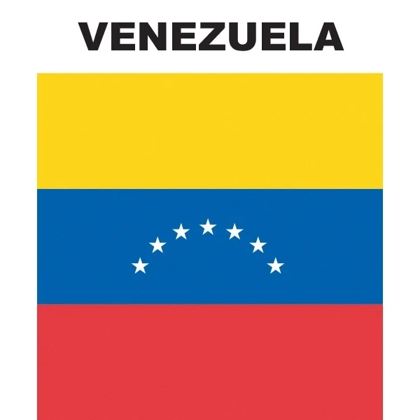 Mini Banner - Venezuela 1