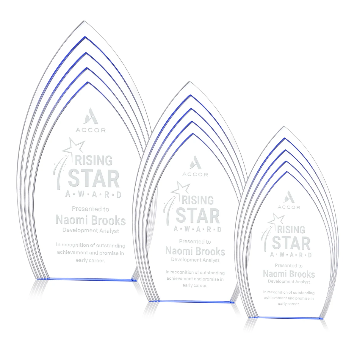 Turello Award - Blue 1