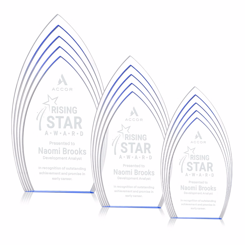 Turello Award - Blue