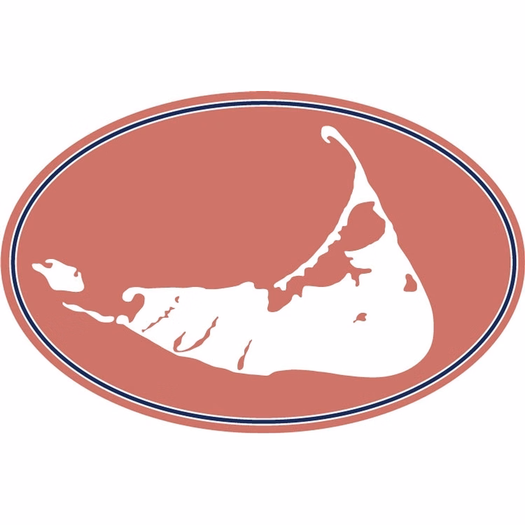 Custom 3.75" x 5.75" Oval 35 mil Car Magnet