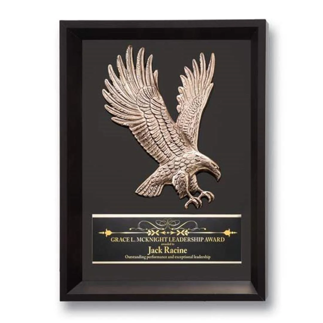 Framed Eagle 1