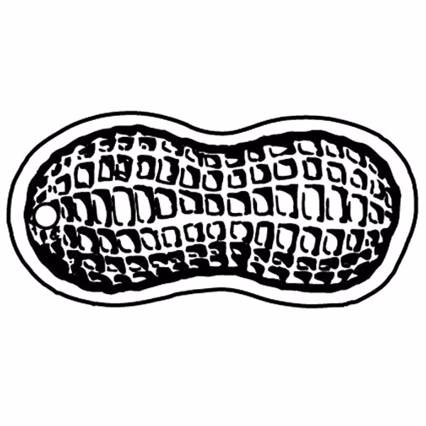 Shelled Peanut Key Tag - Spot Color