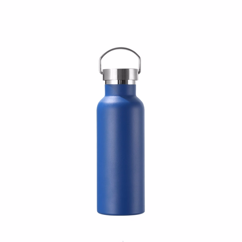 Stainless Insulated Water Bottle