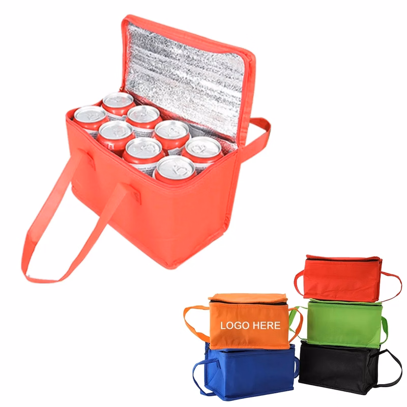 Picnic Insulated Lunch Cooler Bag