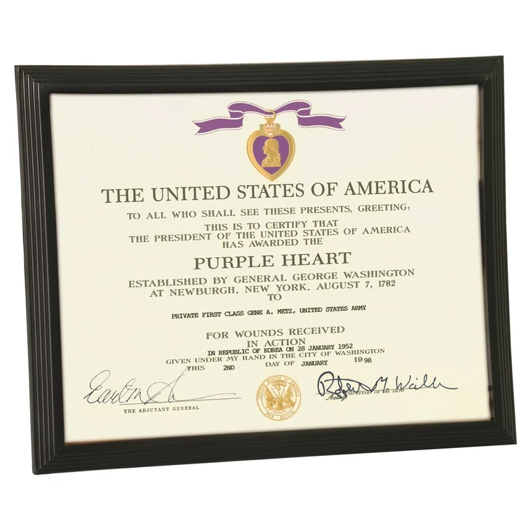 Step Edge Solid Black Plastic Certificate Frame with Glass Face 1