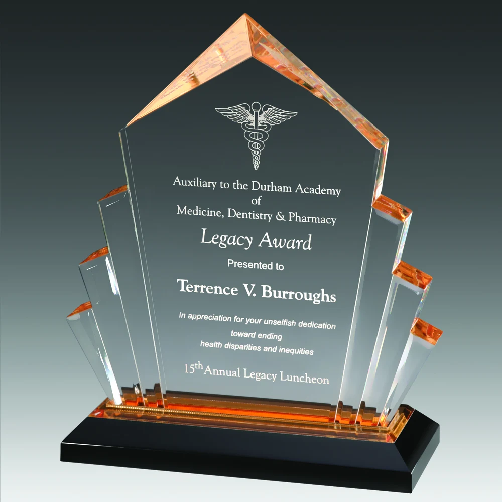 9" Arrow Impress Award 1
