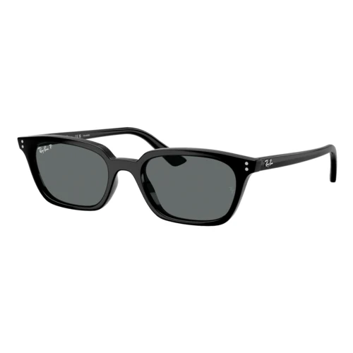 Ray-Ban Polarized Zaya Bio-Based Sunglasses 1