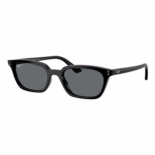 Ray-Ban Polarized Zaya Bio-Based Sunglasses