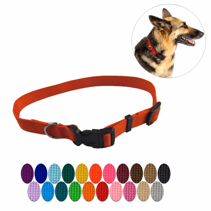 3/4'' Nylon Dog Collar w/ Buckle and Clip