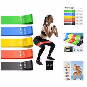 Resistance Bands with Instruction Manual and Carry Bag