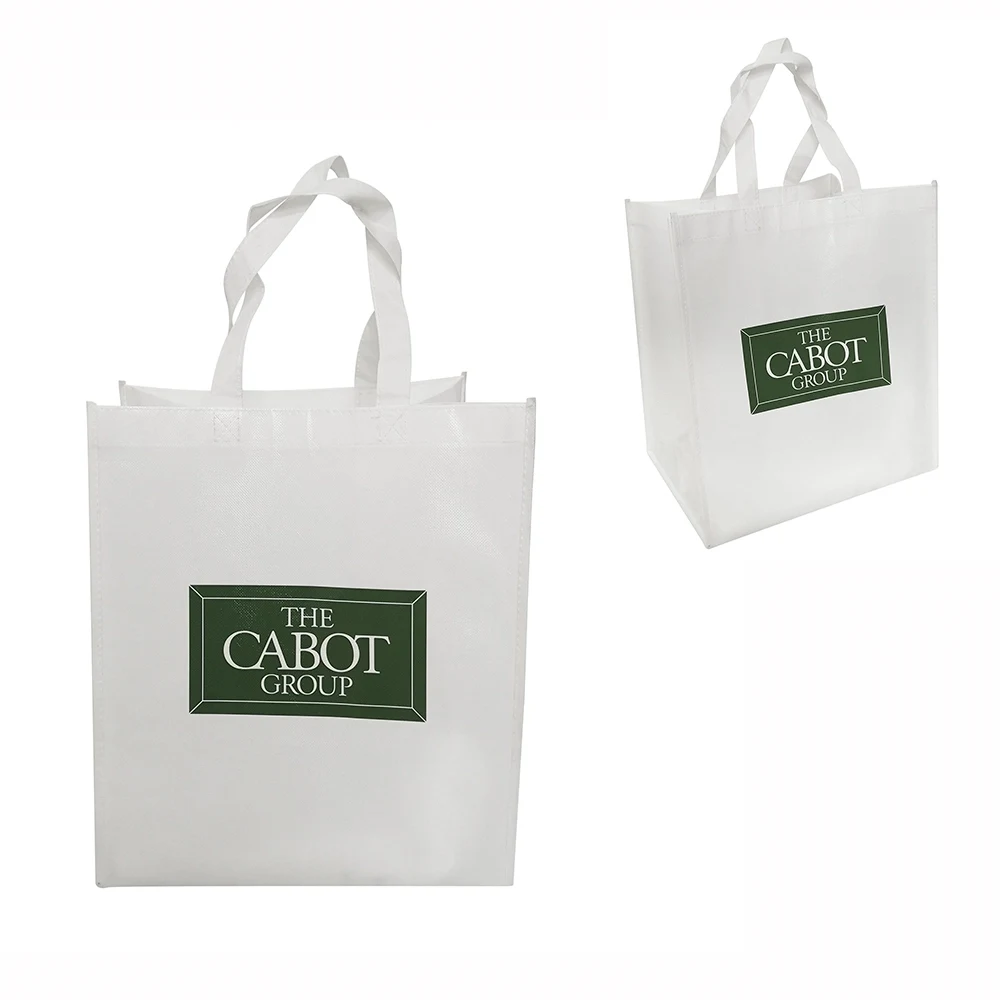 Non-Woven Laminated Bag 1