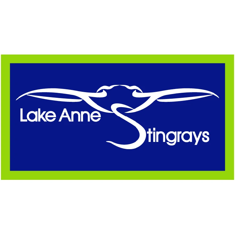 Custom 3.5" x 6.5" Rectangle Car Magnet 1