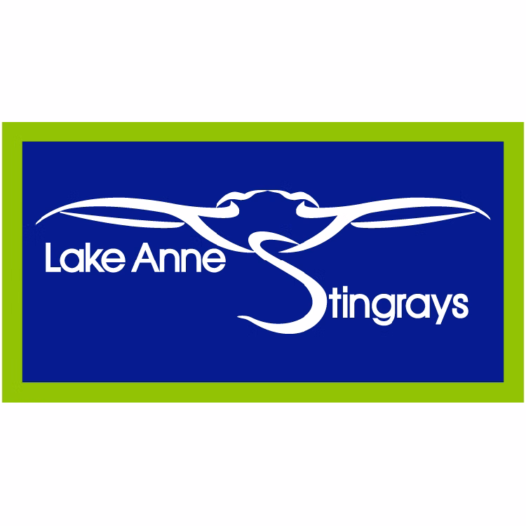 Custom 3.5" x 6.5" Rectangle Car Magnet