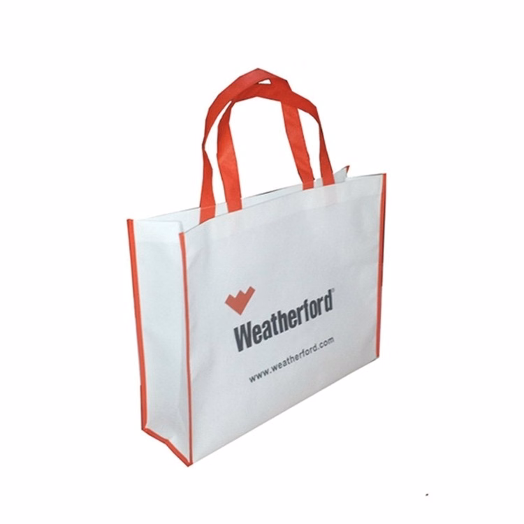 Non-woven Gift Bag