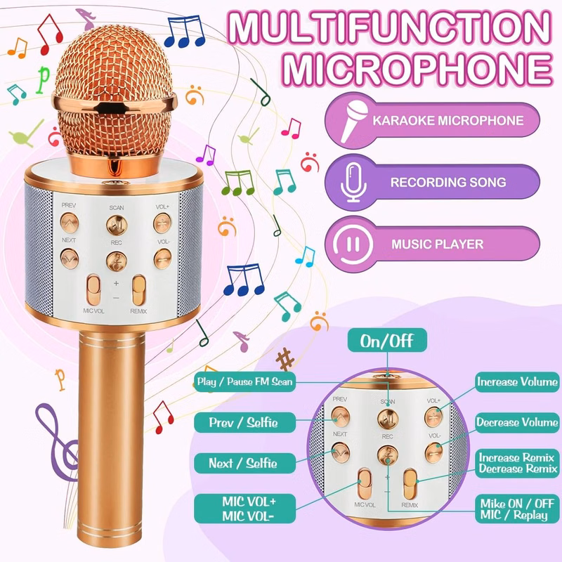 Promotek iBank® Bluetooth Karaoke Microphone