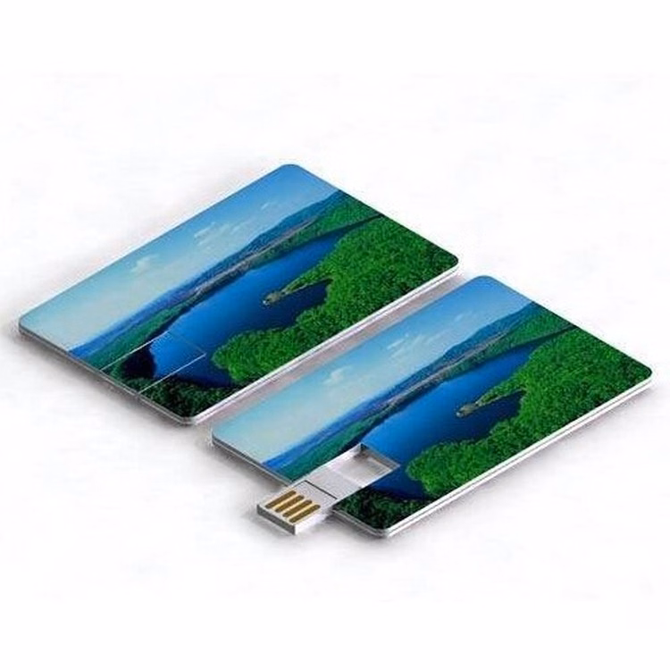 2 GB Flip Credit Card USB 2.0 Flash Drive