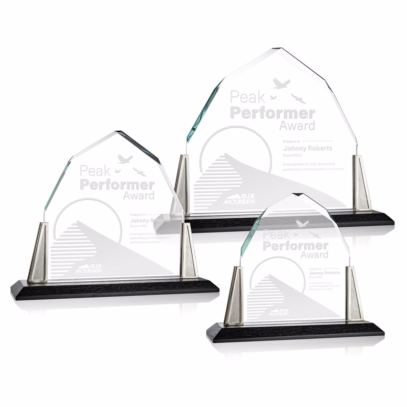 Avalon Award - Pewter