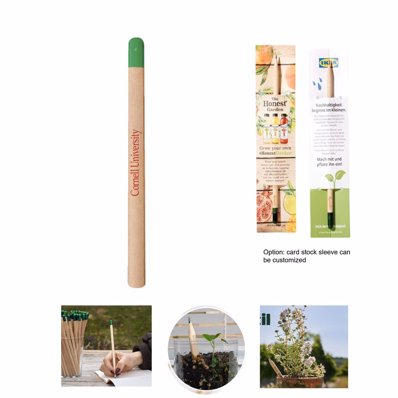 Plantable Pencil with Card Sleeve