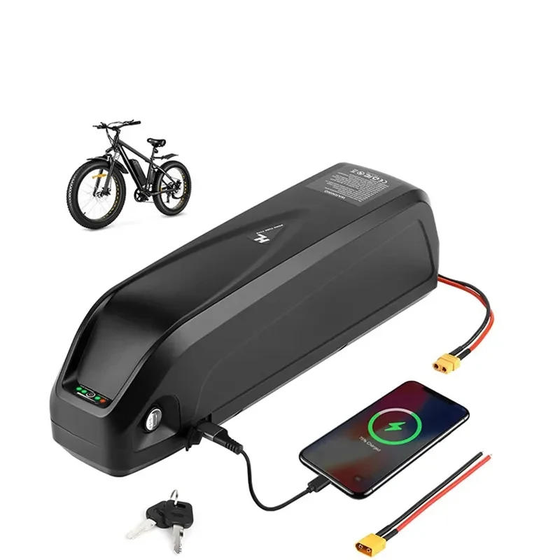 Ebike battery 48V 1