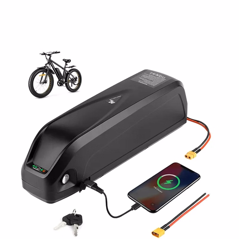 Ebike battery 48V