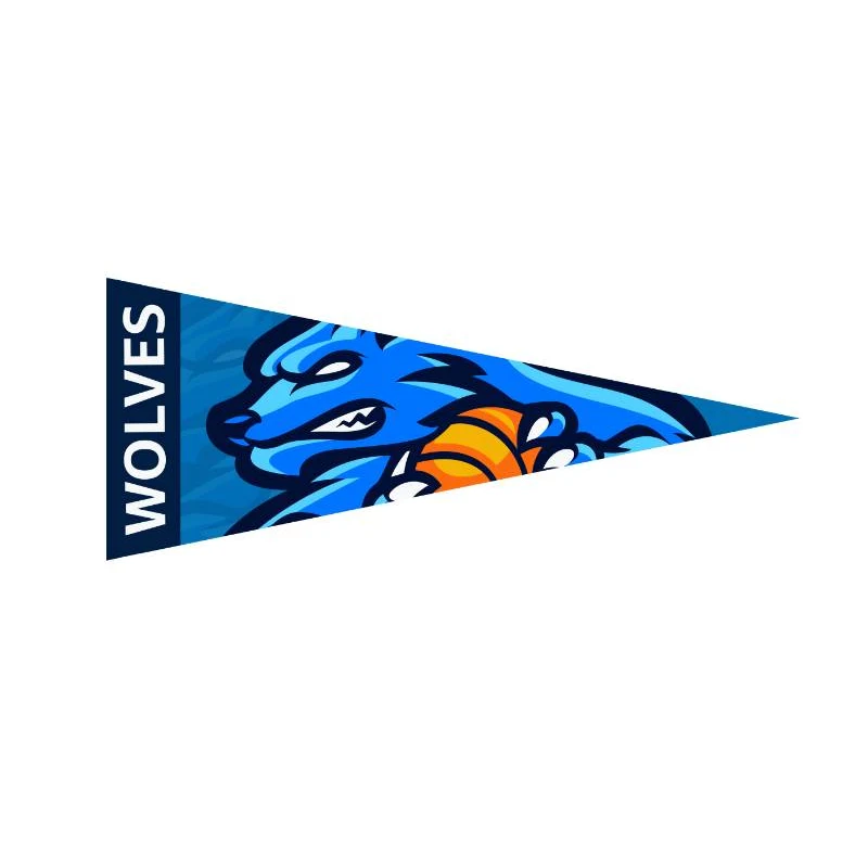 9" x 24" Full Color Felt Pennant Flag Banner 1