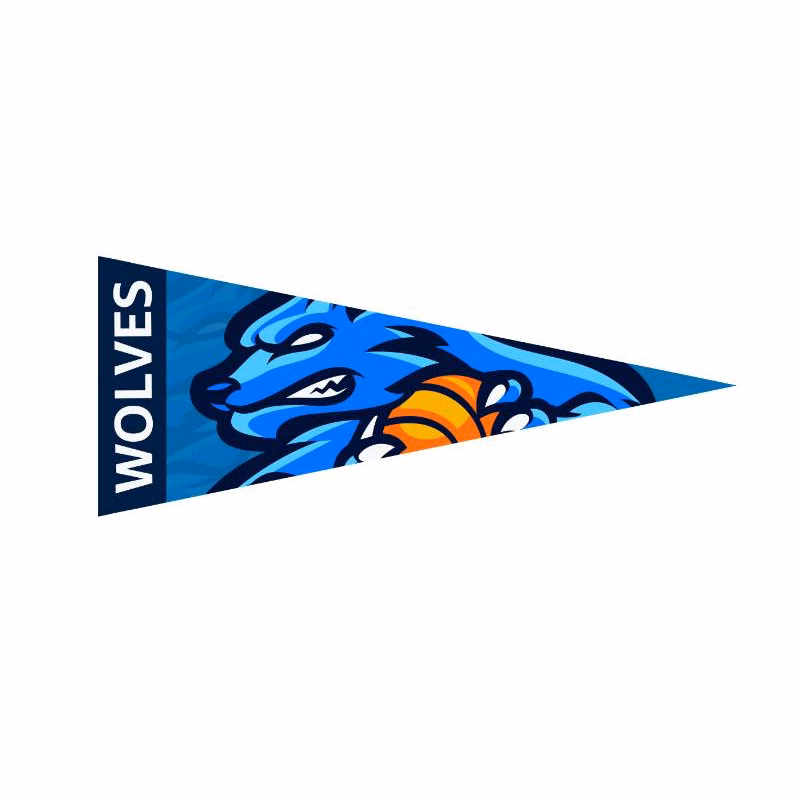 9" x 24" Full Color Felt Pennant Flag Banner