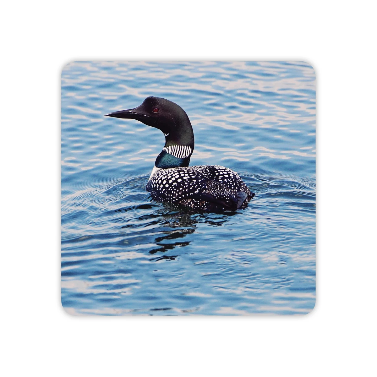 Custom Full Color Square Round Paper Coaster MOQ500 3.5in 1